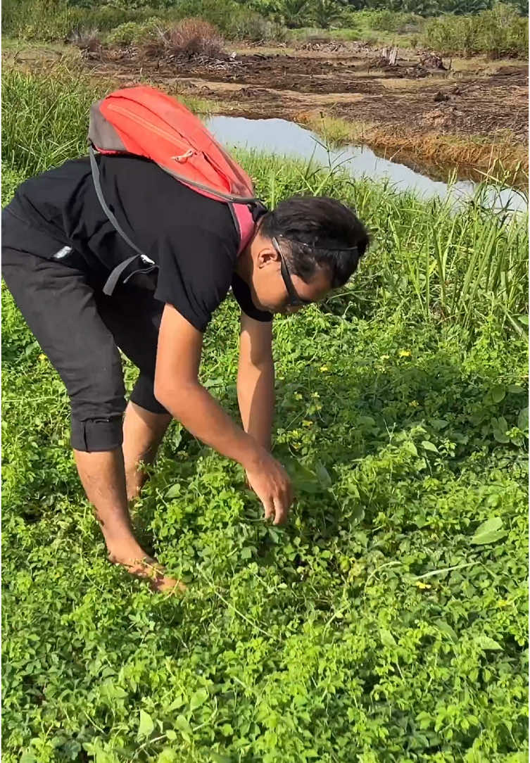 Ada yang pernah coba? #viral #fyp #bocahpecicilan 