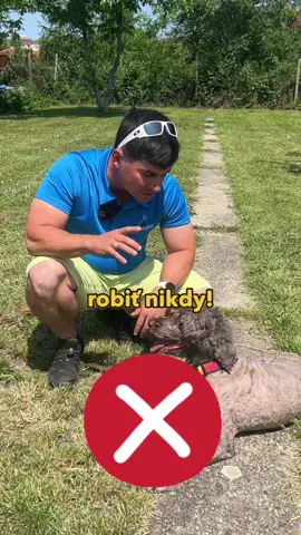 ✋ Keď stretneš cudzieho psa, hladkáš ho zhora po hlave? Tak si na to začni dávať pozor – môže to vnímať ako hrozbu a dokonca ťa napadnúť! 😳🐕 🎥 V tomto videu sa dozvieš: 🚫 Prečo hladkanie psa zhora môže byť preňho nepríjemné až stresujúce ⚠️ Ako pes vníma tvoje telo a pohyby pri kontakte ✅ Ako správne pristupovať k cudzím psom, aby si si získal ich dôveru a nie vyvolal obrannú reakciu 💡 Pozri si video a nauč sa, ako sa správne správať ku psom, ktorých nepoznáš – pre ich aj tvoju bezpečnosť. 🔁 Zdieľaj toto info s každým milovníkom psov – môže to predísť nepríjemnému konfliktu. #vycvikpsa #vychovapsa #treningpsa