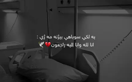 💔🕊️….              Snap / sfyan.44