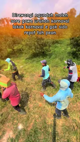 Sepurane bos jeruk e telat ada kegiatan warga #jerukbalap🍊 #karnaval #latihankarnaval #wawanbuah #teamwawanbuah #fypシ #jeruksiemmadumalang #bismillahfyp #jeruksiemmalang #kegiatanwarga 
