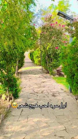 #شعر_شعبي #حساب_استوريا #قلم_الك_اكتب✍️ #تصويري📷 #اعدت_نشر🔃_الفيديو #اكسبلور #تصميم_فيديوهات🎶🎤🎬 #تصويري_احترافي_الاجواء👌🏻🕊😴 