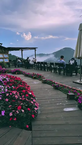 Cơn mưa đã tạnh, nhưng những đám mây vẫn chưa tan... #dalat #reviewdalat #thenhthang #thenhthangcoffee #caphethenhthang 