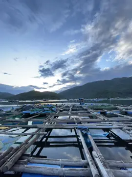 Hai hàng nước mắt cứ ứa lên