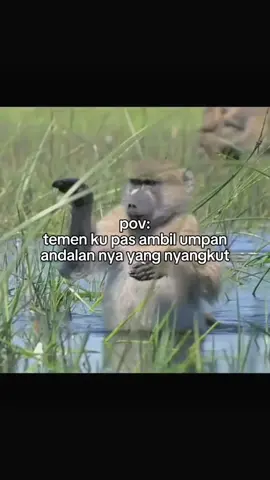 kelakuan siapa nih😭😂