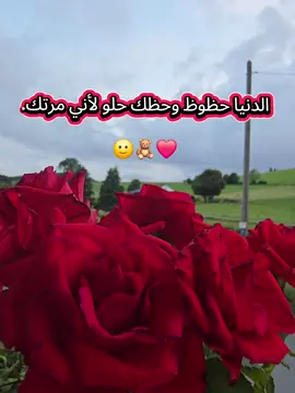 الدنيا حظوظ و حظك حلو لأني مرتك#كلمة_من_Noor🕊 #زوجي #حسبي_الله_ونعم_الوكيل #قال_ربي_اشرح_لي_صدرى_ويسر_لي_أمري #حكم_وأمثال_وأقوال 