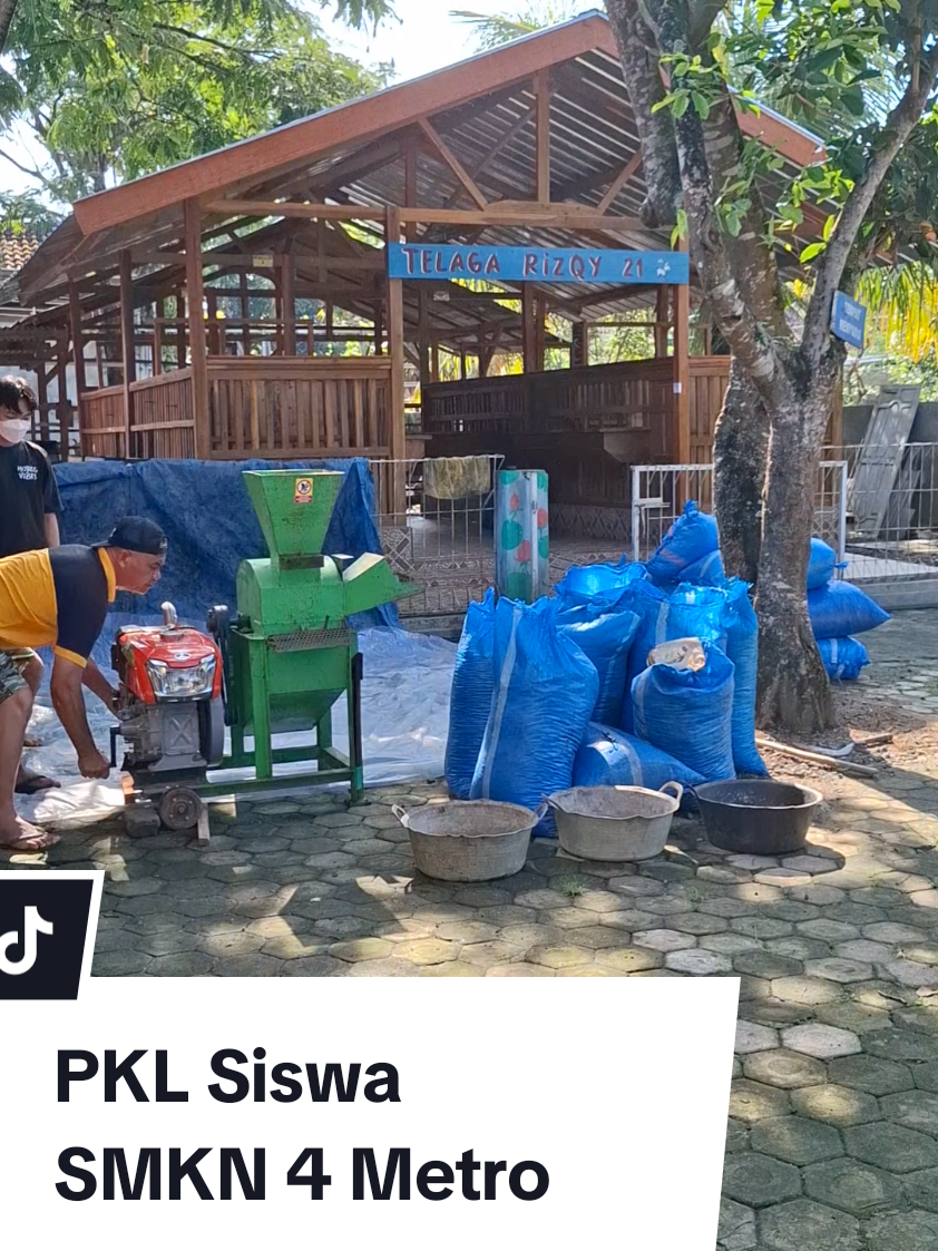 Praktek Kerja Lapangan ( PKL ) siswa @smkn4metro , @smkn4metroo . Pembelajaran meliputi semua kegiatan yang dikerjakan di peternakan kambing perah @Telaga.Rizqy Metro,  Mempraktekkan teori yg mereka pelajari di bangku sekolah tentunya berbeda dengan keadaan dilapangan . Semoga pengalaman yg mereka dapatkan berguna bagi jenjang mereka selanjutnya .
