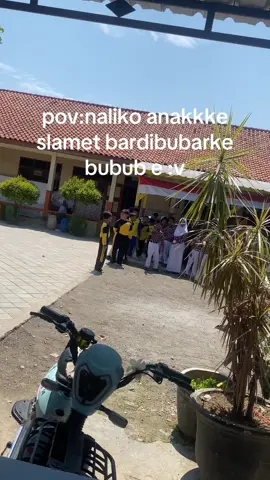 P info masse#promomakanmerdeka #jowokuciwoo #fyp #jowopride 