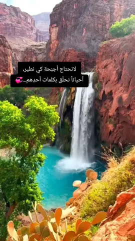 اجمل ما في الكون انا وها المجنون #flowers #foryou #CapCut #اكسبلور 