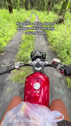#rxkingstaylemedan  #rxkingmedanngorok🔥💨  #rxkingmedanstayleganteng #rxking135cc 
