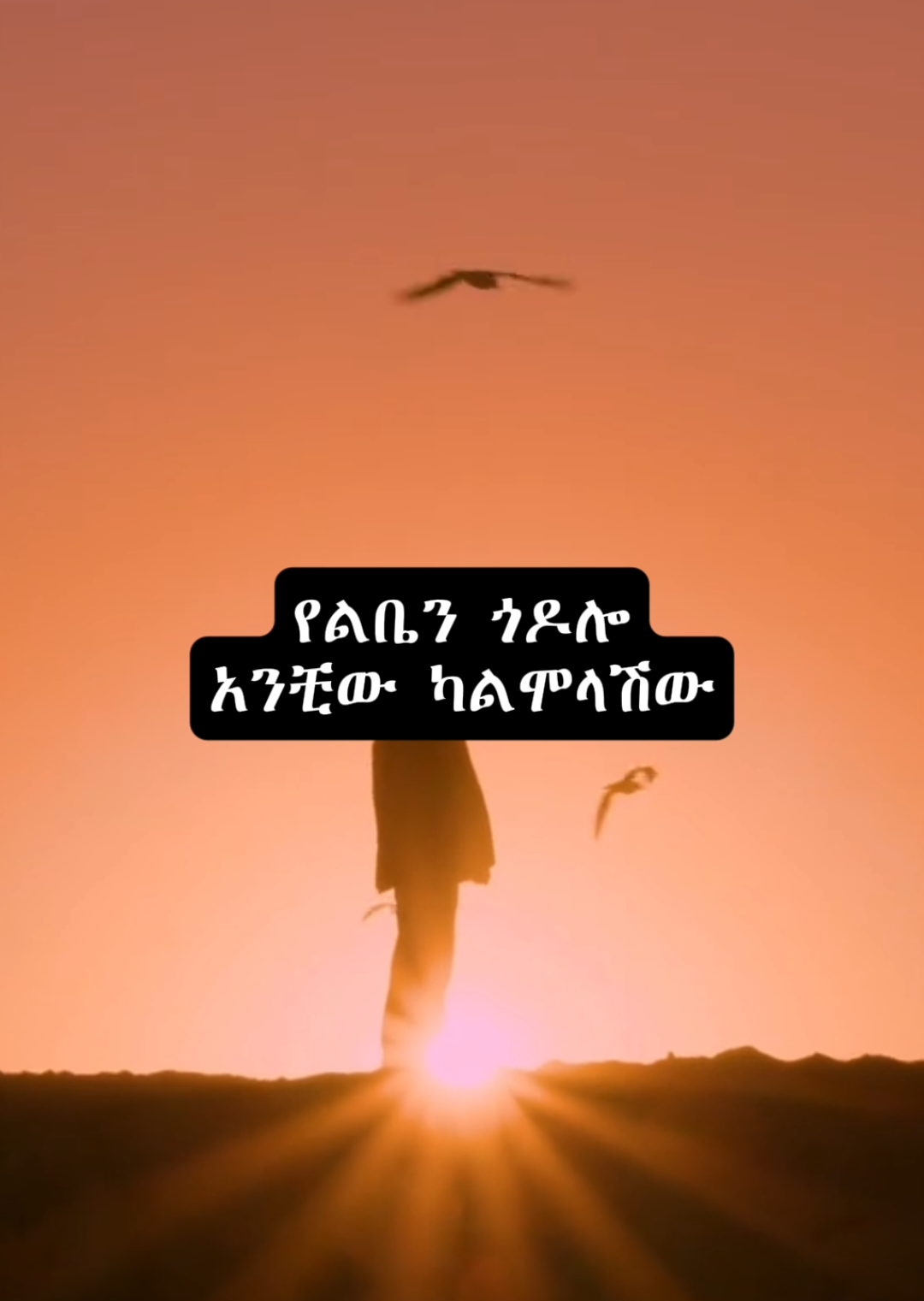 abnet agonafr | #abnetagonafer #foryoupage #viralvideos #musiclyrics #ethiopian_tik_tok 