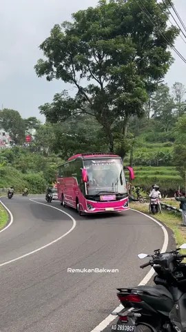 Duta Abadi Trans Radisya X RenggaDS @Fuad mbendol 022 @Sahabat RenggaDS @Duta Abadi Trans 