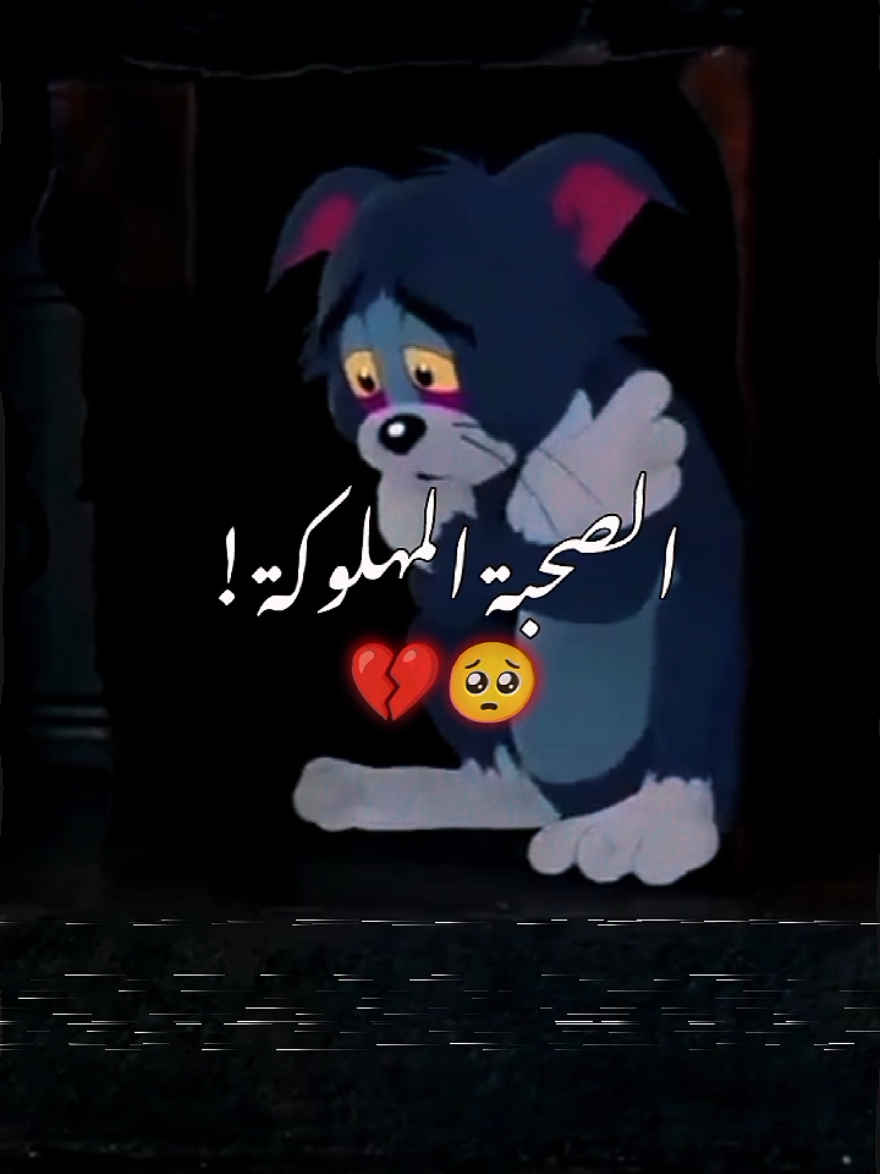 الصحبة المهلوكة 💔🫂🥺. #didinklach #didincanon16  #ديدين_كلاش #توم_وجيري  #تصميم_فيديوهات🎶🎤🎬  #الجزائر🇩🇿_تونس🇹🇳_المغرب🇲🇦 