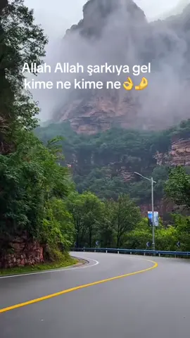 #keşfet# keşfet##👈🤷‍♂️🤔