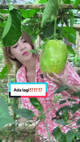 Buah apa namanya di kalian..?
