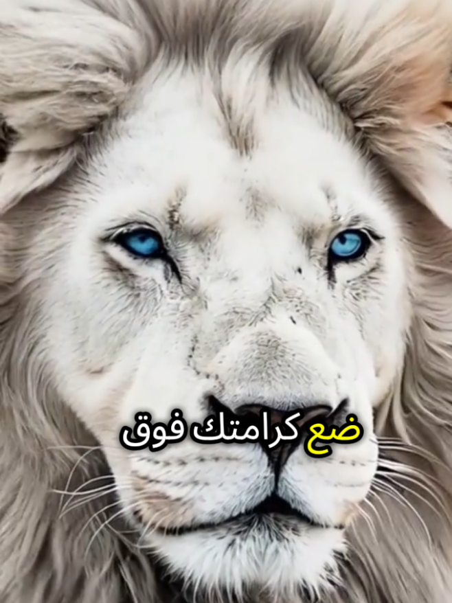 #عباراتكم_الفخمه📿📌 #اقتباسات #خواطر_للعقول_الراقية #كلام_من_ذهب #مليون_مشاهدة❤ #عباراتكم_الفخمه 