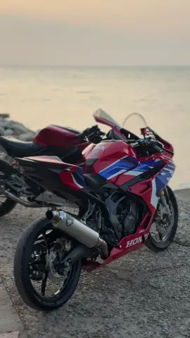 std ting”🥰#cbr250rrspqsnew #fyp 