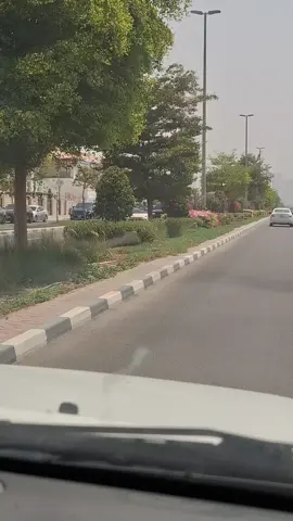 #دبي#الامارات_العربية_المتحده🇦🇪 #