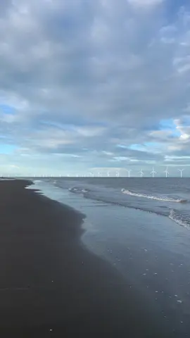 Về biển thới thuận bến tre bắt ốc viết nè ní.....#canhqueyenbinh #tiktokviral #bentre71🌴🥥 #xuhuong 