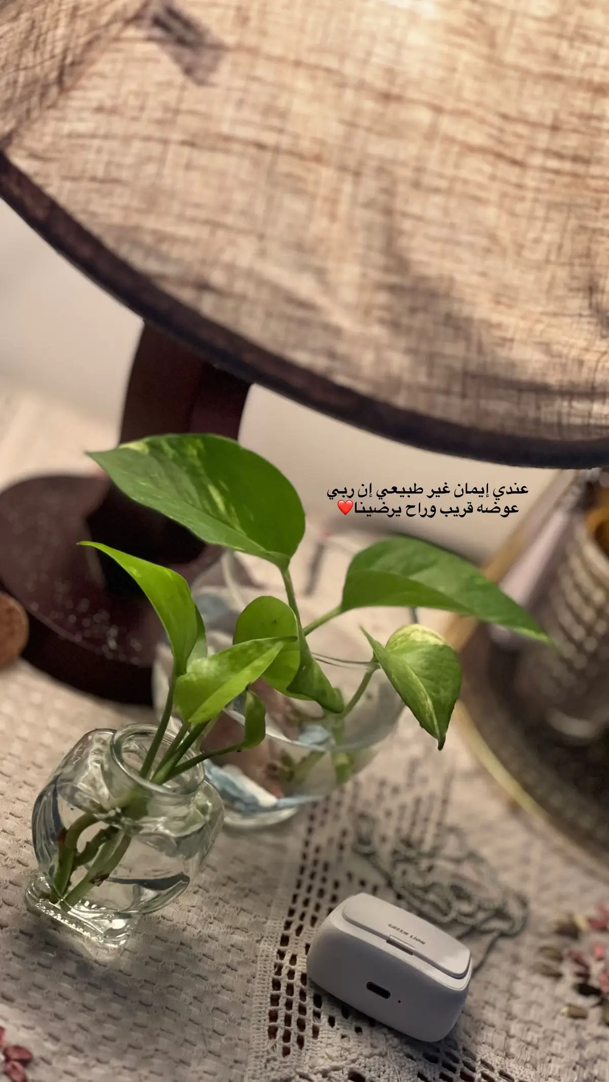 #اقتباسات #اقتباسات_عبارات_خواطر🖤🦋❤️ #خواطر #تصويري_احترافي_الاجواء👌🏻🕊😴 #تصويري 