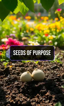 Discover your unique role in life. #inspiration #nature #purpose