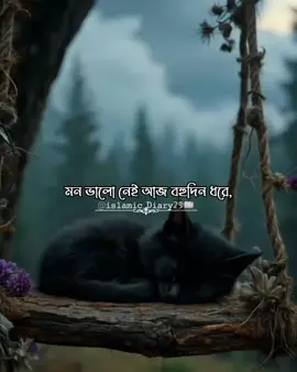 আসলে মন ভালো থাকার অভিনয়টাই সবচেয়ে ক্লান্তিকর একটা কাজ!#fyp #foryoupage #islamic_diary29 #islamic_video #viraltiktok #fyppppppppppppppppppppppp 