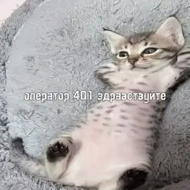 intro- апфс p.s- давно видео не опубликовала... #recomendation #fyp #f #щп #recom #GlowUp #апфс #recom #f #fyp #recomendation #щп #м #апфс #fyp 