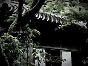 Tình yêu đầu tiên của tôi #CapCut #haidwng #nhachaymoingay 