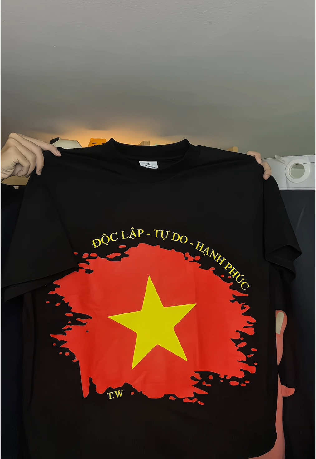 Độc Lập - Tự Do - Hạnh Phúc ❤️🇻🇳#toiyeuvietnam #aothun #thoitrangnu #thoitrangnam #macdepmoingay 