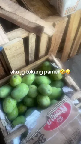 #viral #fyp #buahbuahan #bandarlampung 