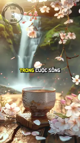 Sống tốt cuộc đời của chính mình #trí_tuệ_người_xưa #Triết_lý_cổ_nhân 