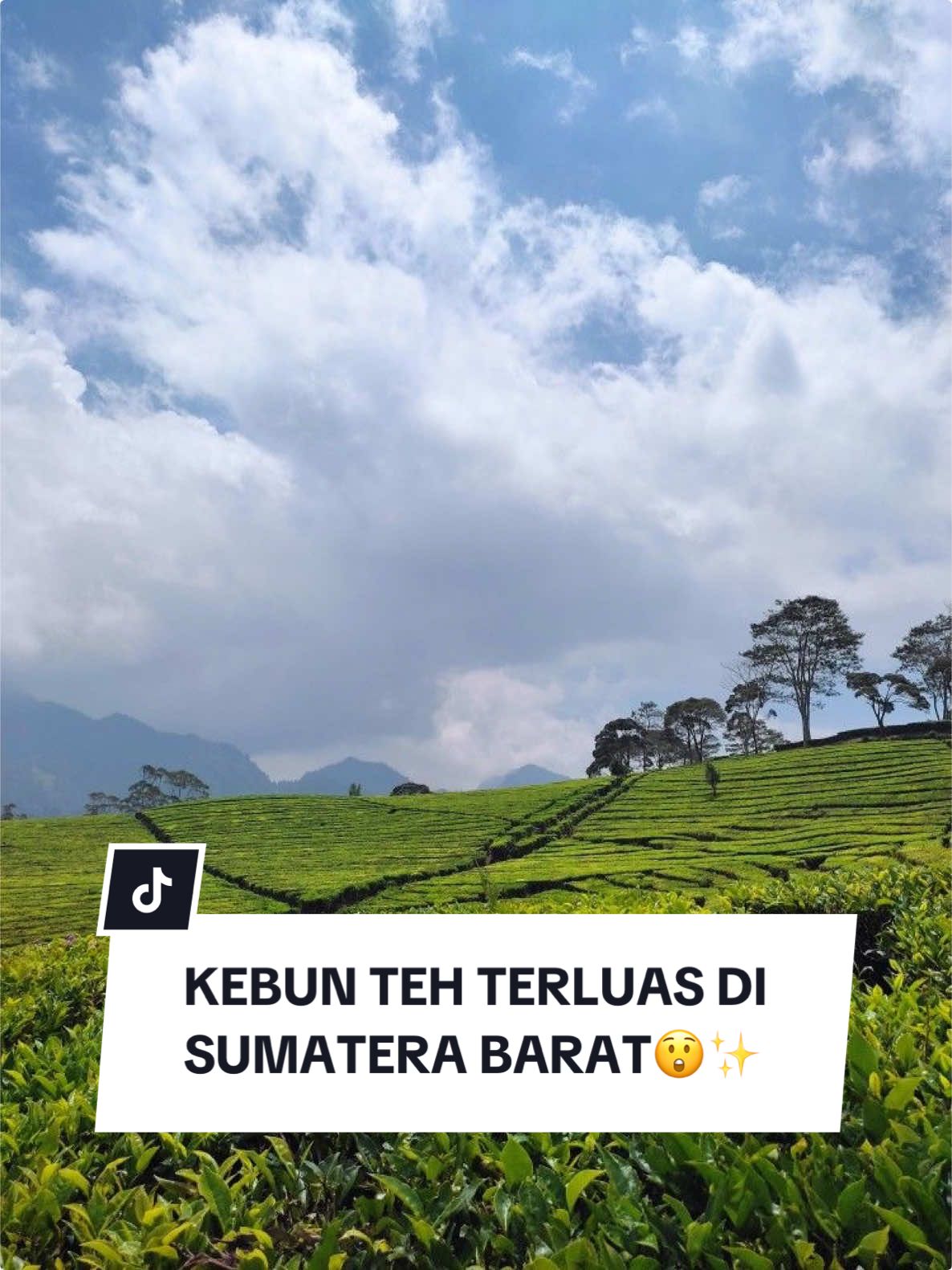 🌿 MASYAALLAH INDAHNYA! 🌿 Siapa sangka… ini dia kebun teh TERLUAS di Sumbar 😍🍃 Udara sejuk, pemandangan hijau tanpa batas—bikin betah nggak mau pulang! ⠀ 📍 Kebun Teh Kayu Jao, Solok ✨ Kalau kamu udah pernah ke sini, ceritain pengalaman seru kamu di kolom komentar 👇 ⠀ #KebunTehSumbar #Solok #KebunTeh #AlahanPanjangKotaDinginTanpaSalju #Liburan #HiddenGemsSumbar #travelcinematic 