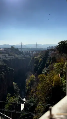 La ville des ponts 🌉 #قسنطينة #constantine 