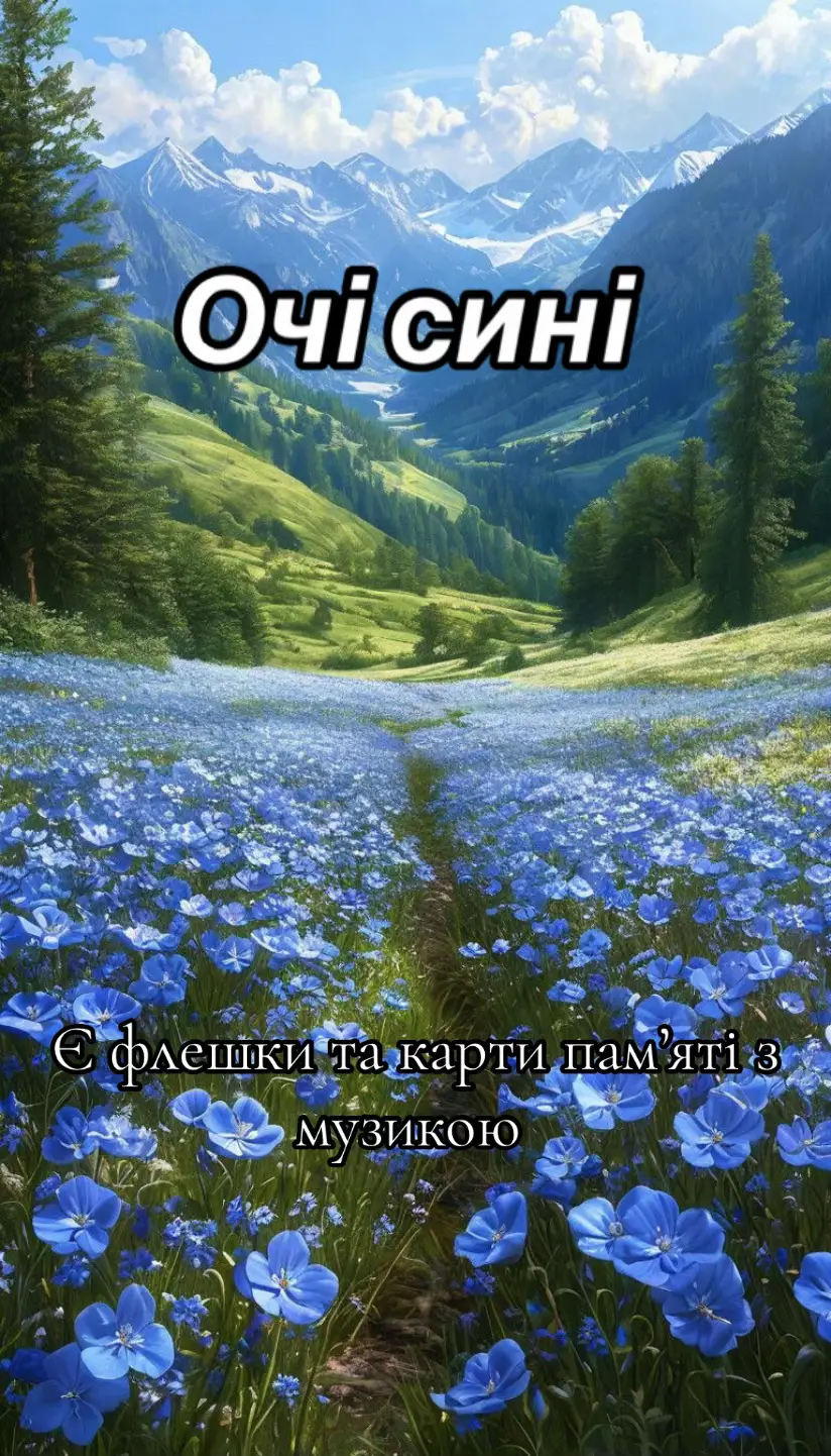 є ФЛЕШКИ та карти пам'яті з музикою 💛💙 #народніпісні  #українськіпісні  #українськівесільніпісні #найкращамузика  #музикадлядуші #рекомендації