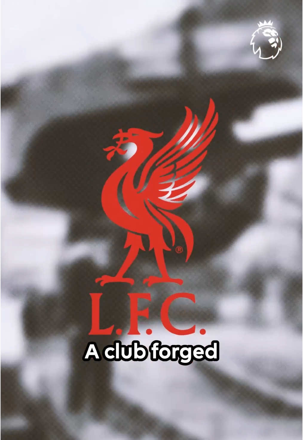 Will it be back-to-back titles for @Liverpool FC? 🏆#PremierLeague 