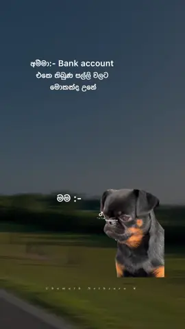 😞💗👍! #foryou #fypシ゚ #viralvideo #whatsappstatus #1millionaudition #foryoupage #srilankatiktok #goviral #trending #viral 