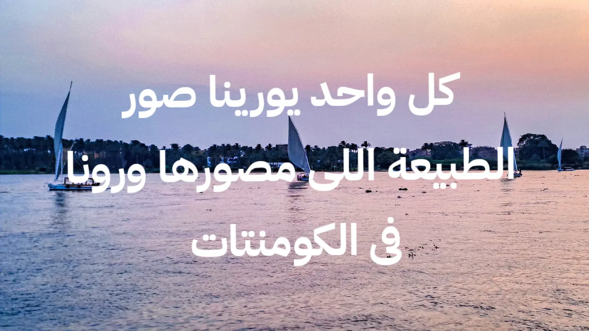 #photography #fyppppppppppppppppppppppp #طبيعة #nature #egypt @Christine Ibrahim @Christine Ibrahim 