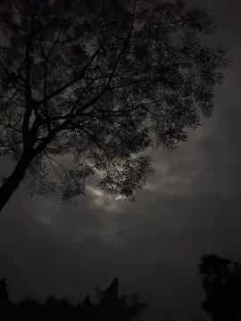 রাতের আকাশকে দেখলে মনে হয়,নীরবতা কত সুন্দর 😅🖤#fypシ゚ #fyppppppppppppppppppppppp #fypシ゚viral #viraltiktok #foryoupage #fyppppppppppppppppppppppppp 