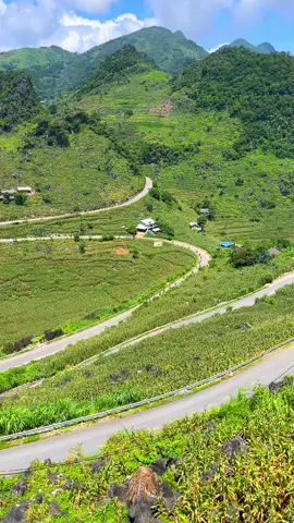 Đến Hà Giang làm sao bỏ qua được cua chữ M này nhỉ 😊 #DulichHaGiang #xuhuong  #phượt #hàgiangmùahè 