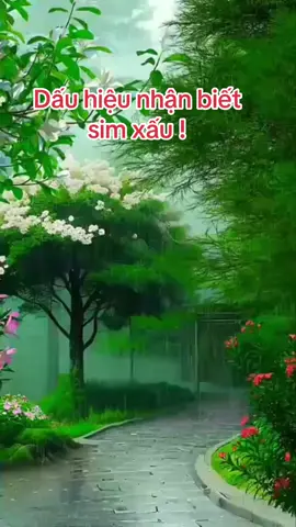 Dấu hiệu nhận biết sim xấu!#kimtamcat #luansimsocaivan #luansimmienphi #nangluongso #thietkesimcaivan #trending #HoaHuongDuong #batcuclinhso #viral #xuhuongtiktok 