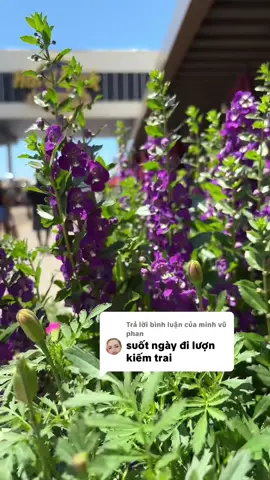 Trả lời @minh vũ phan Bạn đang có 1 gia đình đủ vợ đủ chồng hạnh phúc là bạn có Phước rồi nên đừng sânsi vs ng độc thân chi cho MẤTPHƯỚC dẫy? Chồng con bạn biết được bạn đi kiếm chuyện vs người khác vậy chắc  mất mặt vs xã hội lắm