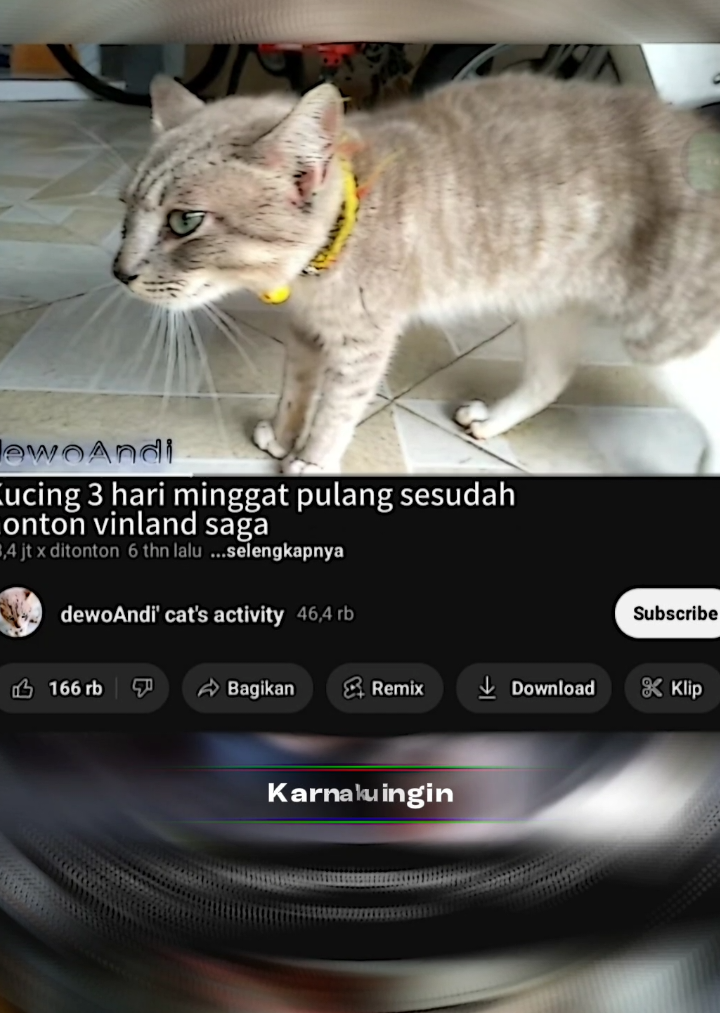 kucingnya langsung i have no emenies woilah 😹🤭 #thorfinnkarlsefni #peaklandsaga #seinen #masterpiece #anime #manga #jjelitis #content #fyp 