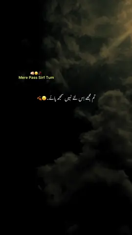 Toty Howe log kdr he 🥲💔#fyp #1millionaudition #foryoupage #grow #account #viral #urdu #aesthetic #poetry #hehe_uzairr 