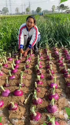 OMG😱🥰🔥💥#fruit #fruits #threefarmers #fyp #asmr #foryou #happy 