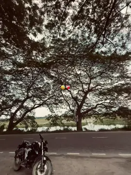 😅❤️‍🩹#foryou #tiktok #bangladesh🇧🇩 #foryoupage #fyp #erw #viral 