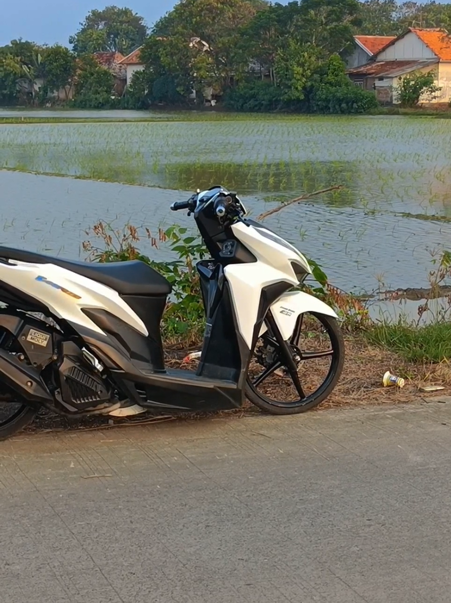 #vario125#varioputih#cinematicmotor 