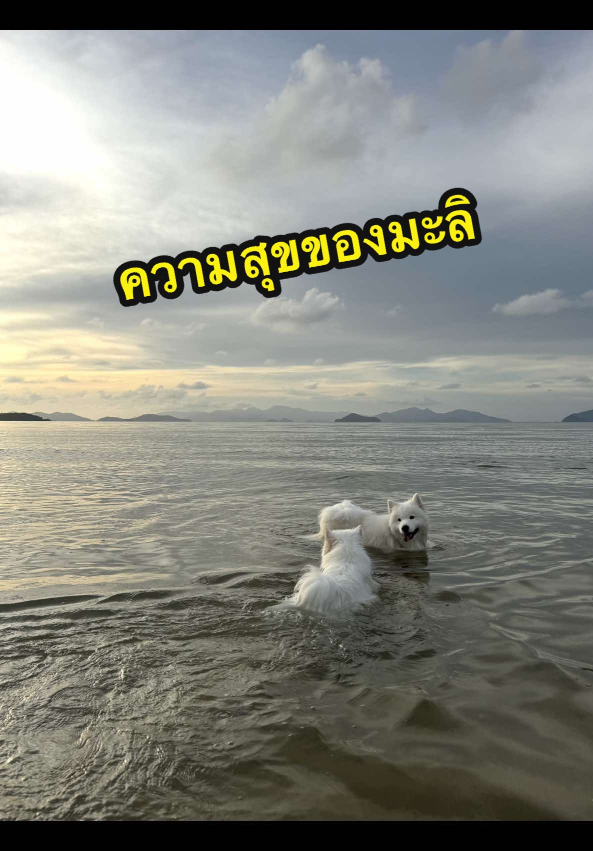 ความสุขของมะลิ