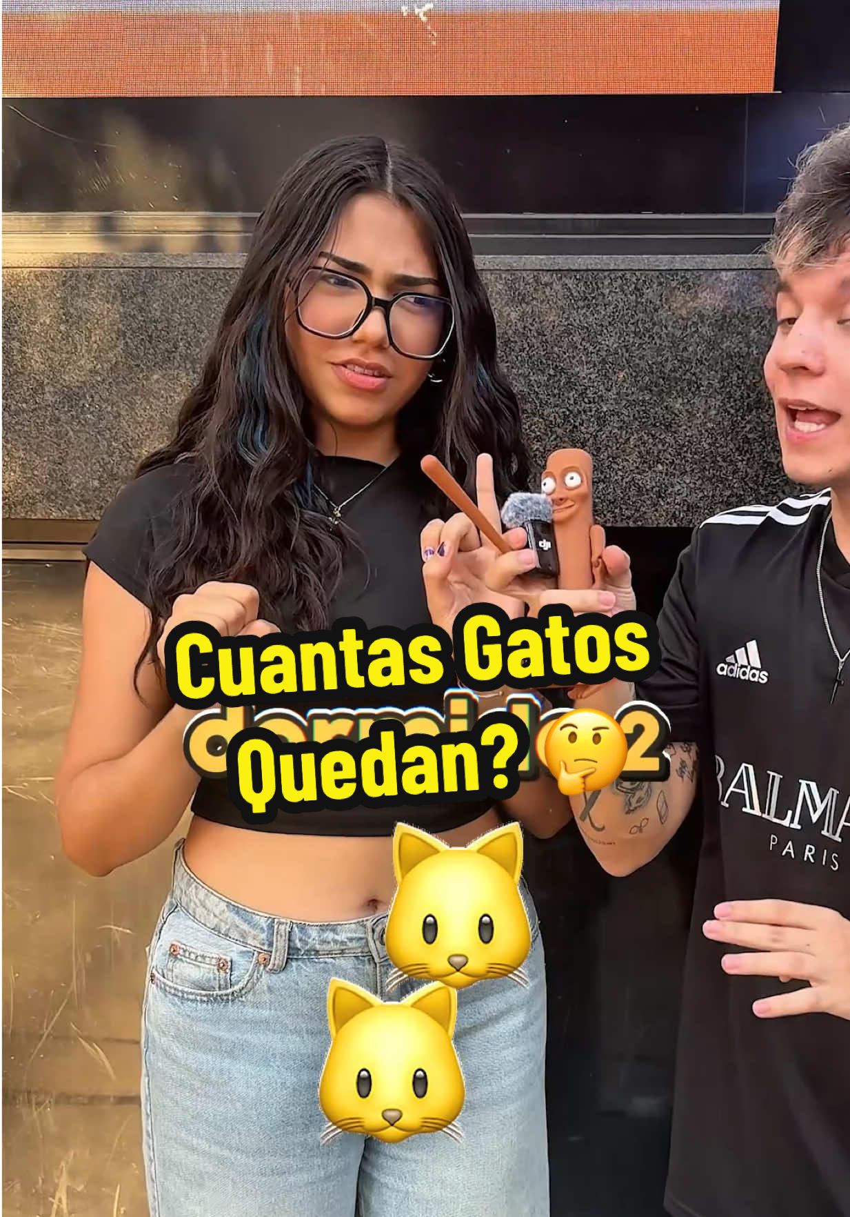 Cuantas Gatos Quedan? 🐱🤔 #pregunta #test 
