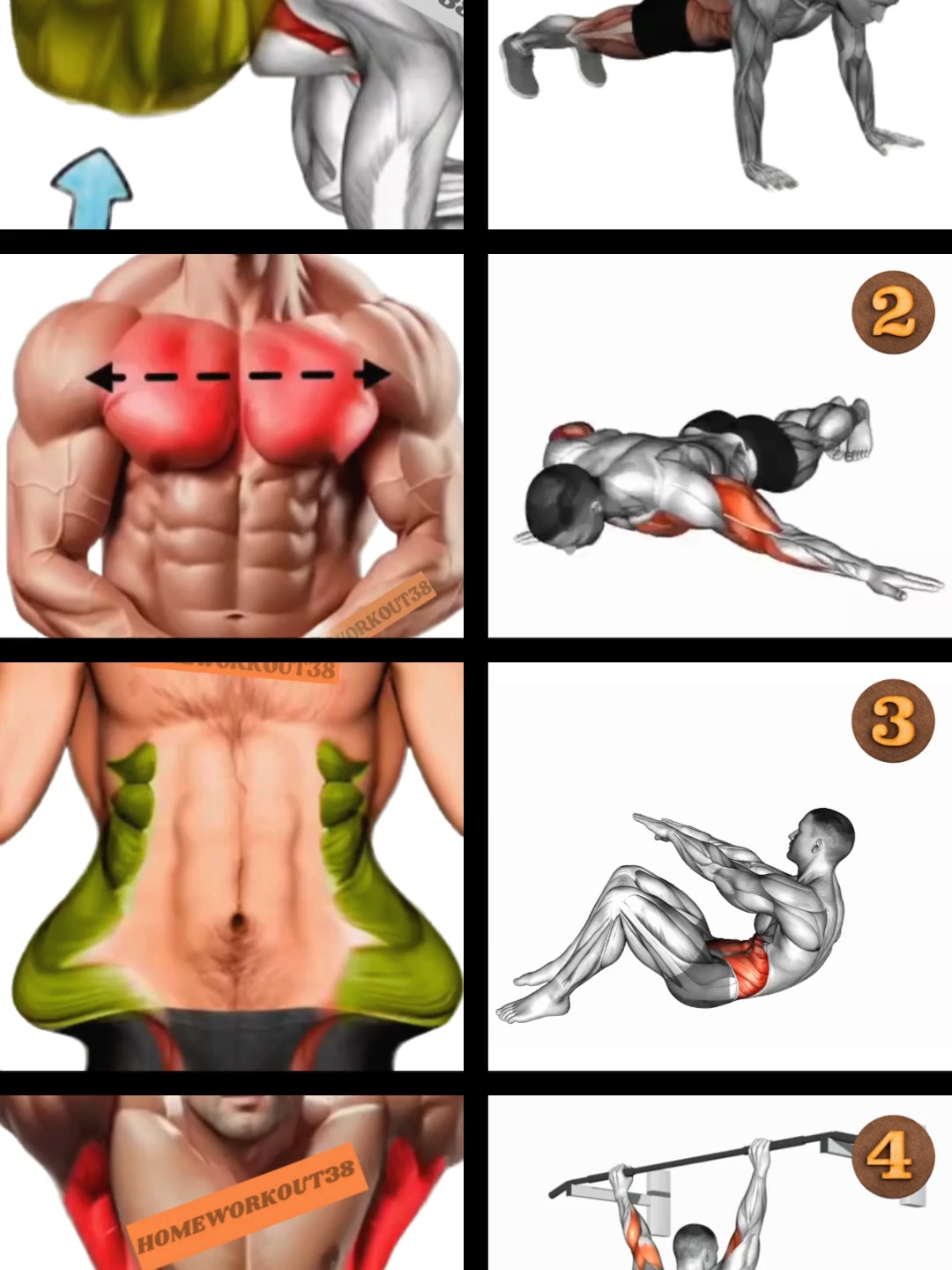 home workout. #GymTok #muscle #exercise #Fitness #workout #workoutroutine #workouttips #fit #fitnesstips #motivation #workoutmotivaton #homeworkout