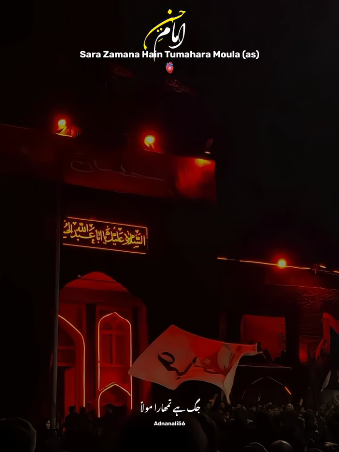 Sara Zamana Hain Tumahara Ya Hussain (as) 😇❤️ Noha Nadeem Sarwar Noha Status  #viral  #tiktok  #fypシ  #hussainimedia  #nohastatus  #hussaini  #edit  #noha  #status  #moulaali  #nadeemsarwar #mirhasanmir #farhanaliwaris 