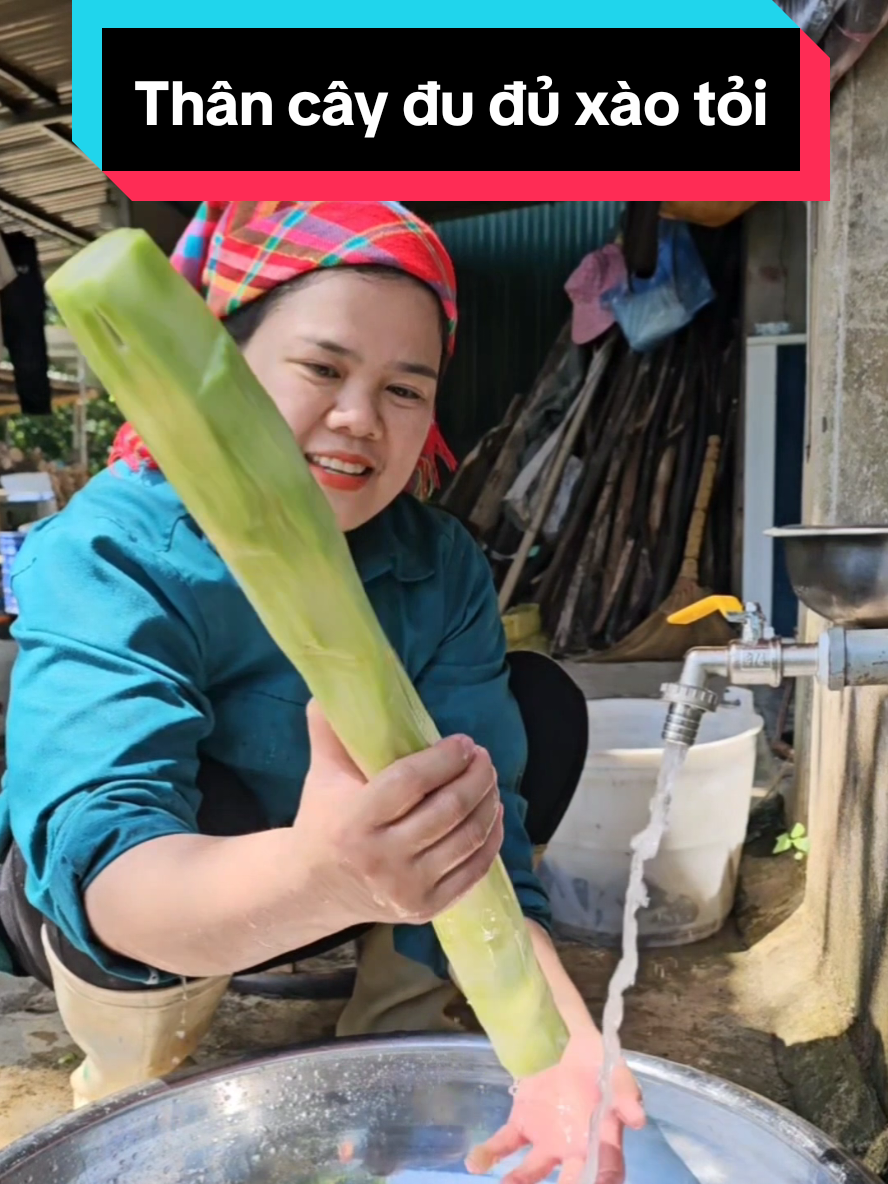 Thân cây đu đủ xào tỏi, món ăn độc đáo này bạn đã từng thử chưa? #maitaybac #ancungtiktok #amthuc #docla #monngonmoingay #xuhuong #dexuat 